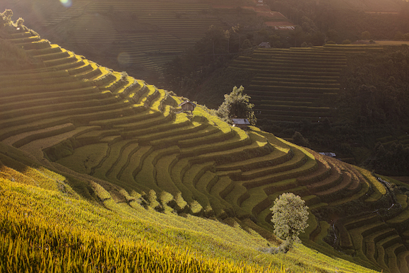 109.Sắc màu Mù Cang Chải – Kiều Nguyên Hiền Triết