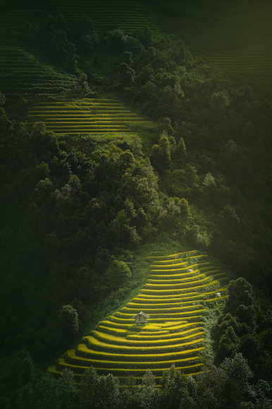 109.Sắc màu Mù Cang Chải – Kiều Nguyên Hiền Triết
