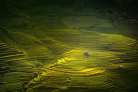 109.Sắc màu Mù Cang Chải – Kiều Nguyên Hiền Triết