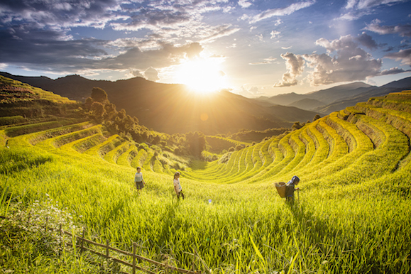 109.Sắc màu Mù Cang Chải – Kiều Nguyên Hiền Triết