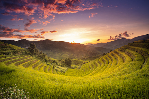 109.Sắc màu Mù Cang Chải – Kiều Nguyên Hiền Triết