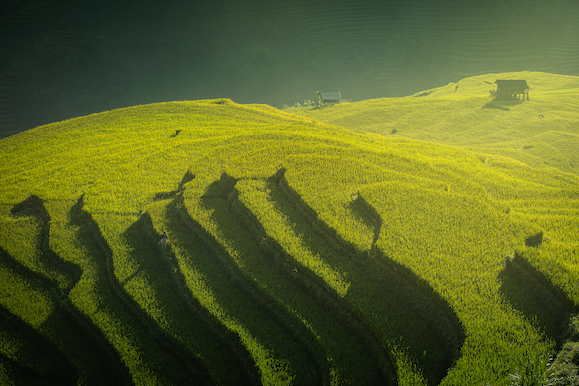 109.Sắc màu Mù Cang Chải – Kiều Nguyên Hiền Triết