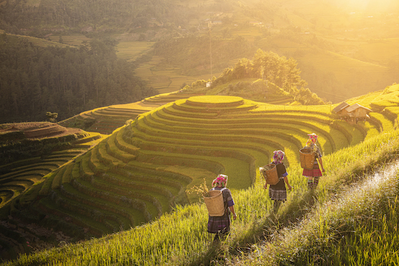 109.Sắc màu Mù Cang Chải – Kiều Nguyên Hiền Triết