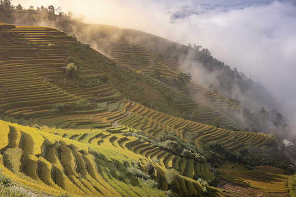109.Sắc màu Mù Cang Chải – Kiều Nguyên Hiền Triết
