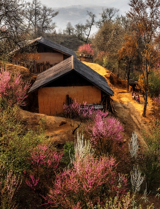 403. Xuân biên cương – Vũ Lâm