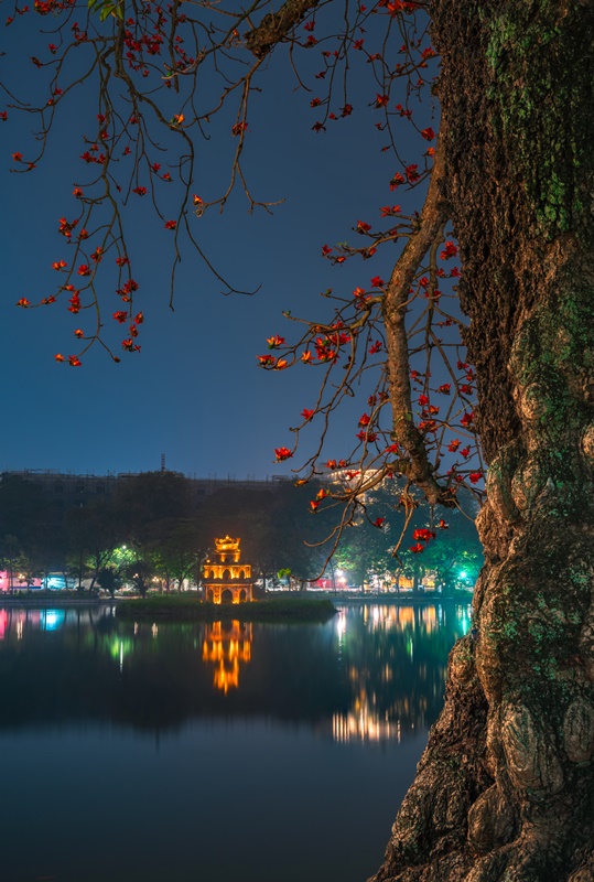 454. Hoa gạo bên Hồ Gươm – Nguyễn Gia Bảo