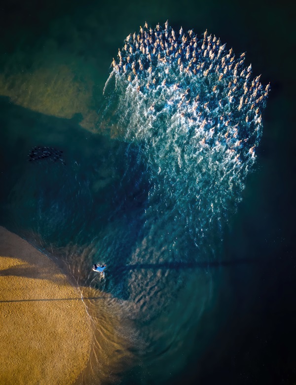 479. Bàn chân khổng lồ – Alex Cao