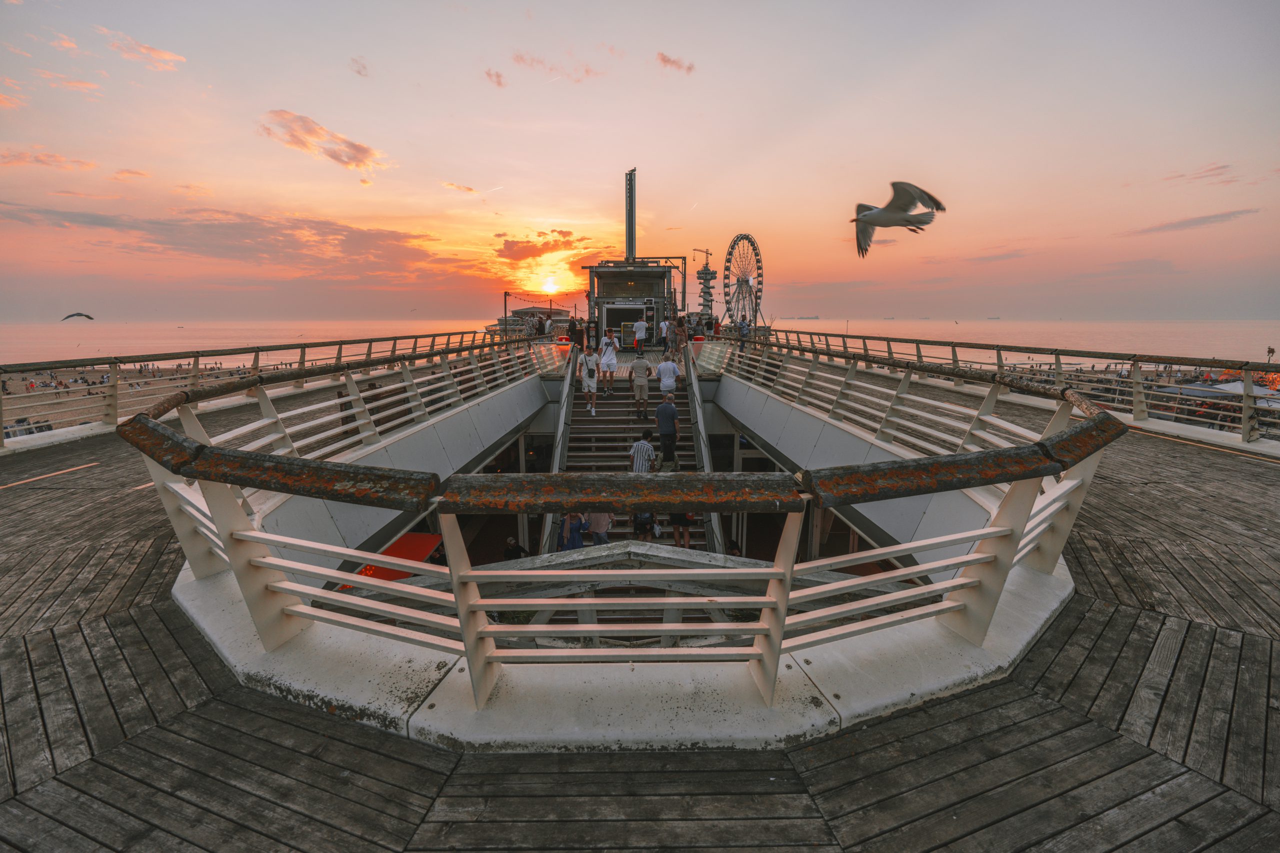 117.Hà Lan Đa Màu – Lê Trung Đức