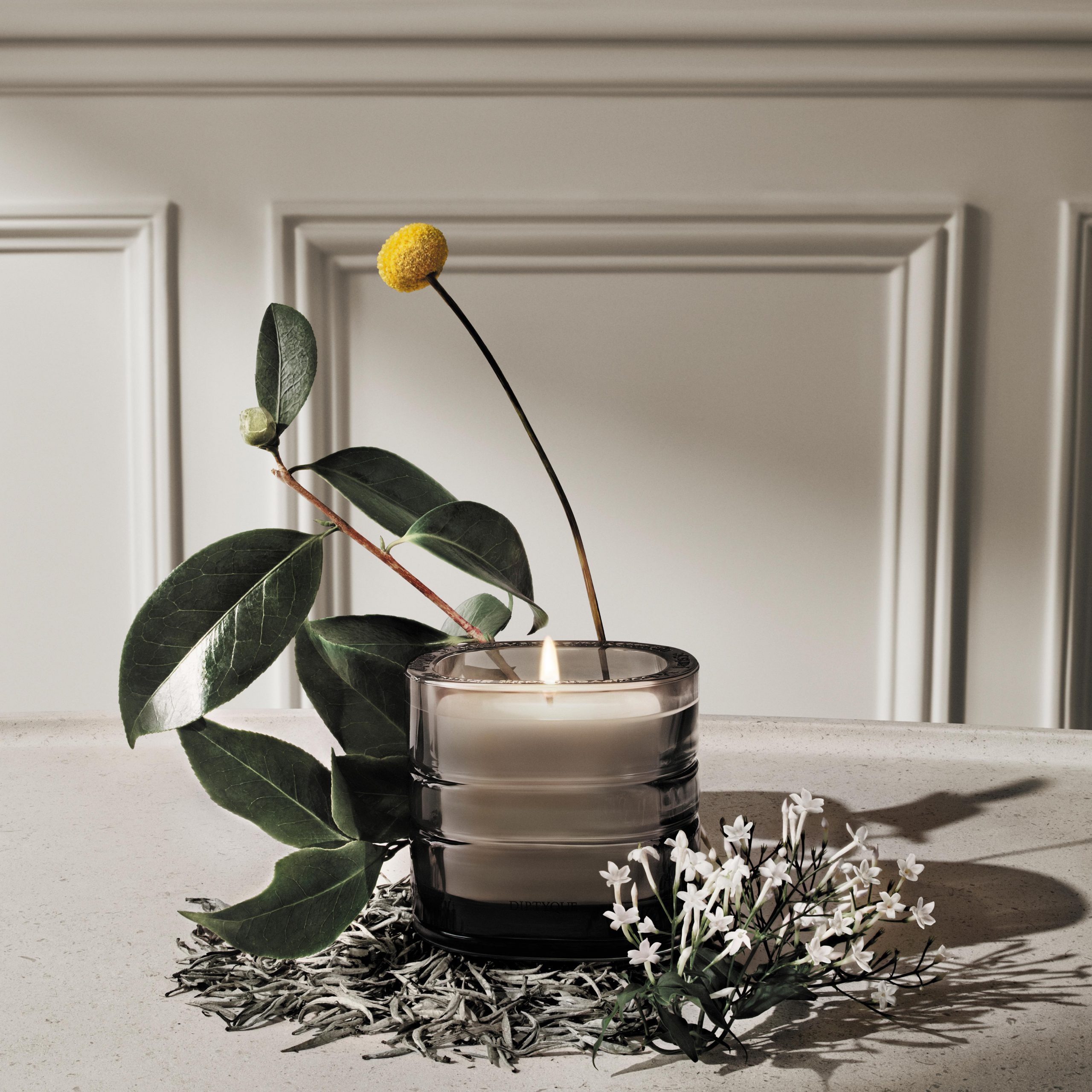 0904_DIPTYQUE_ATMOSPHERE_la_vallee_du_temps_ingredients_2142x2142_72dpix2