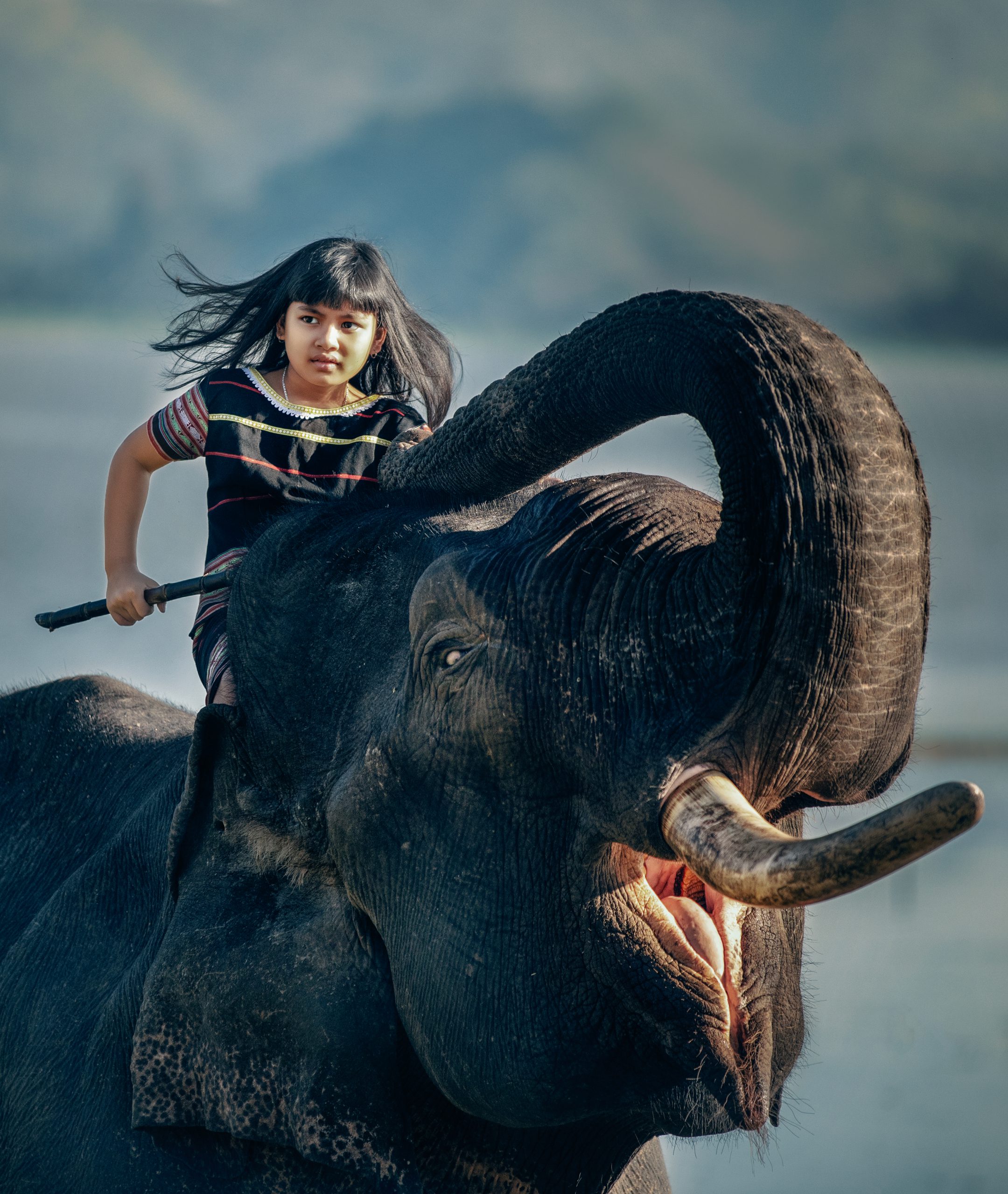 HPGD - Bé và Voi