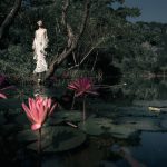 Sắc thu ở Ninh Bình