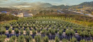 Tasting the land: Agri-tourism journeys in Lam Dong