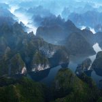 Tracking the Cat Ba langur