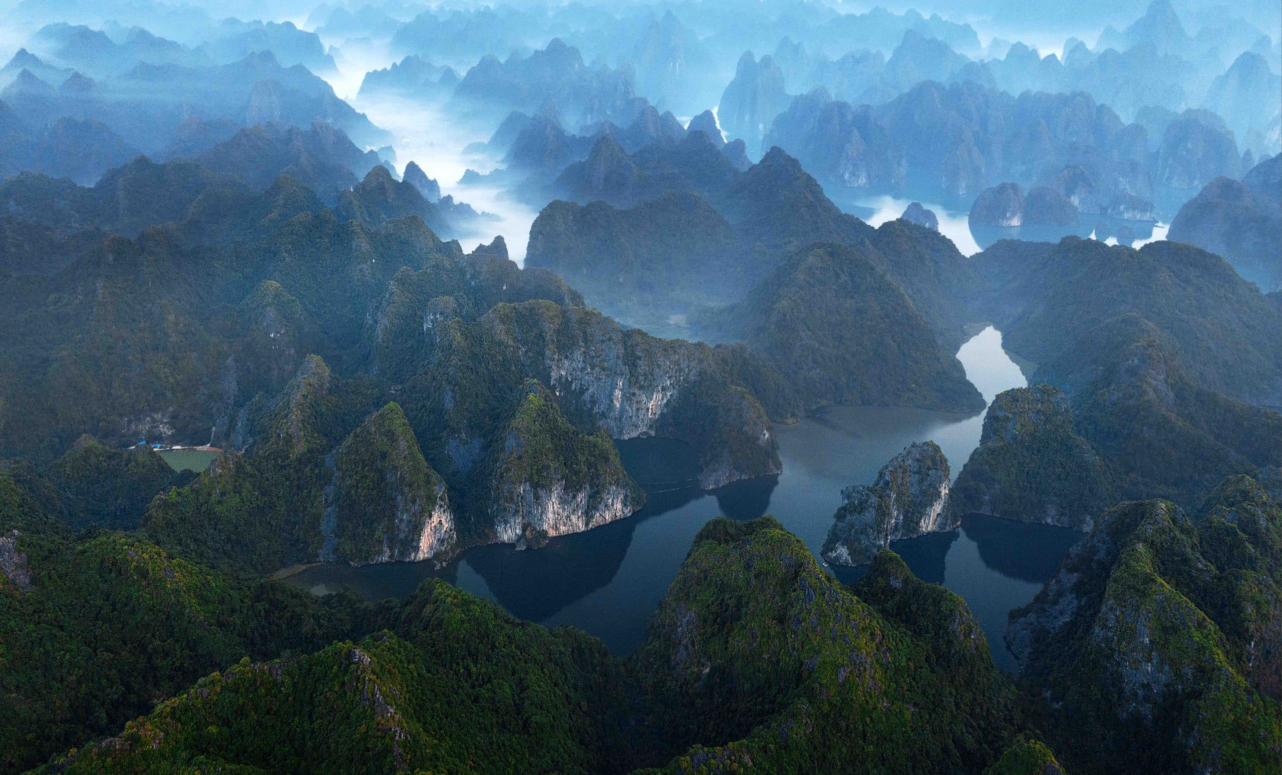 Tracking the Cat Ba langur