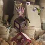 The pinnacle of vibrancy