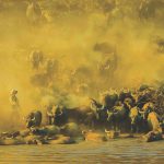 Beauty of the Central Highlands