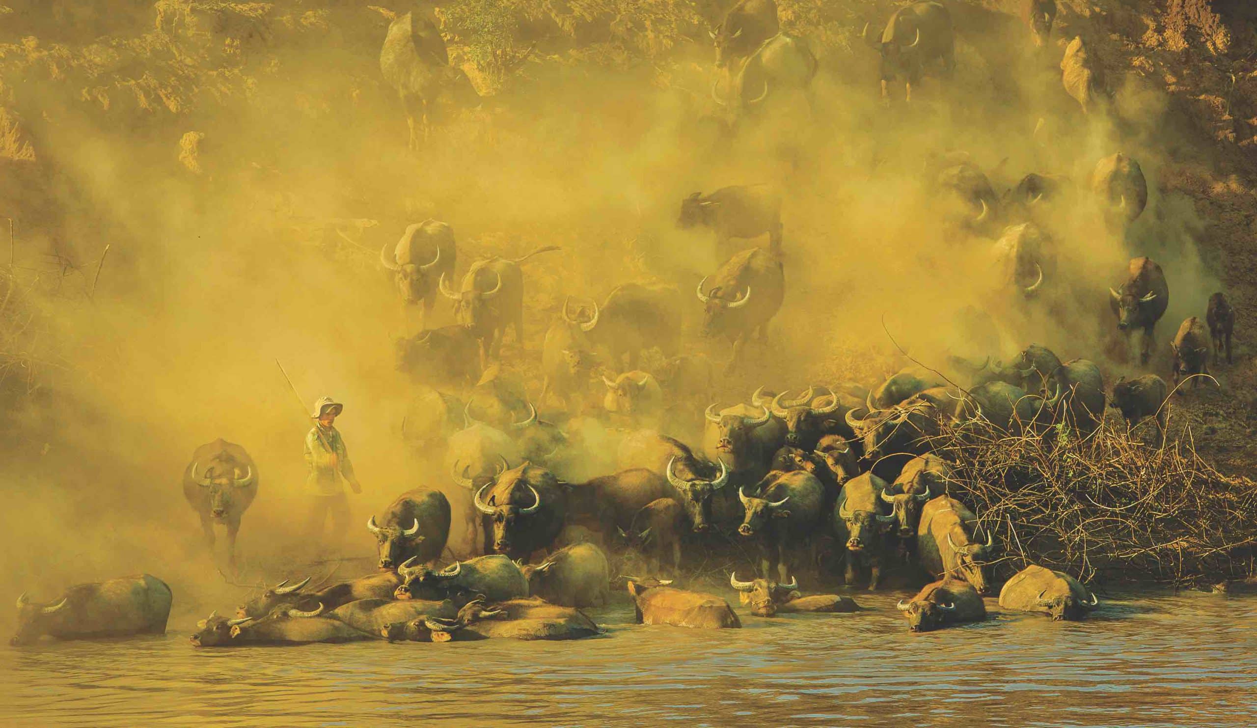 Beauty of the Central Highlands