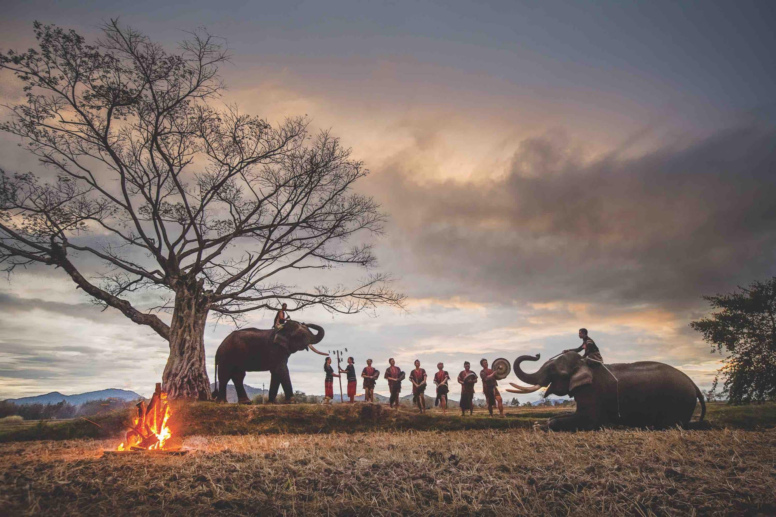 Beauty of the Central Highlands