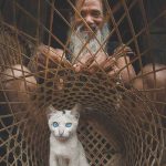 Beauty of the Central Highlands