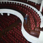 A close-up of beauty