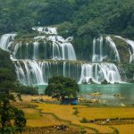 Hạnh phúc ngày mùa