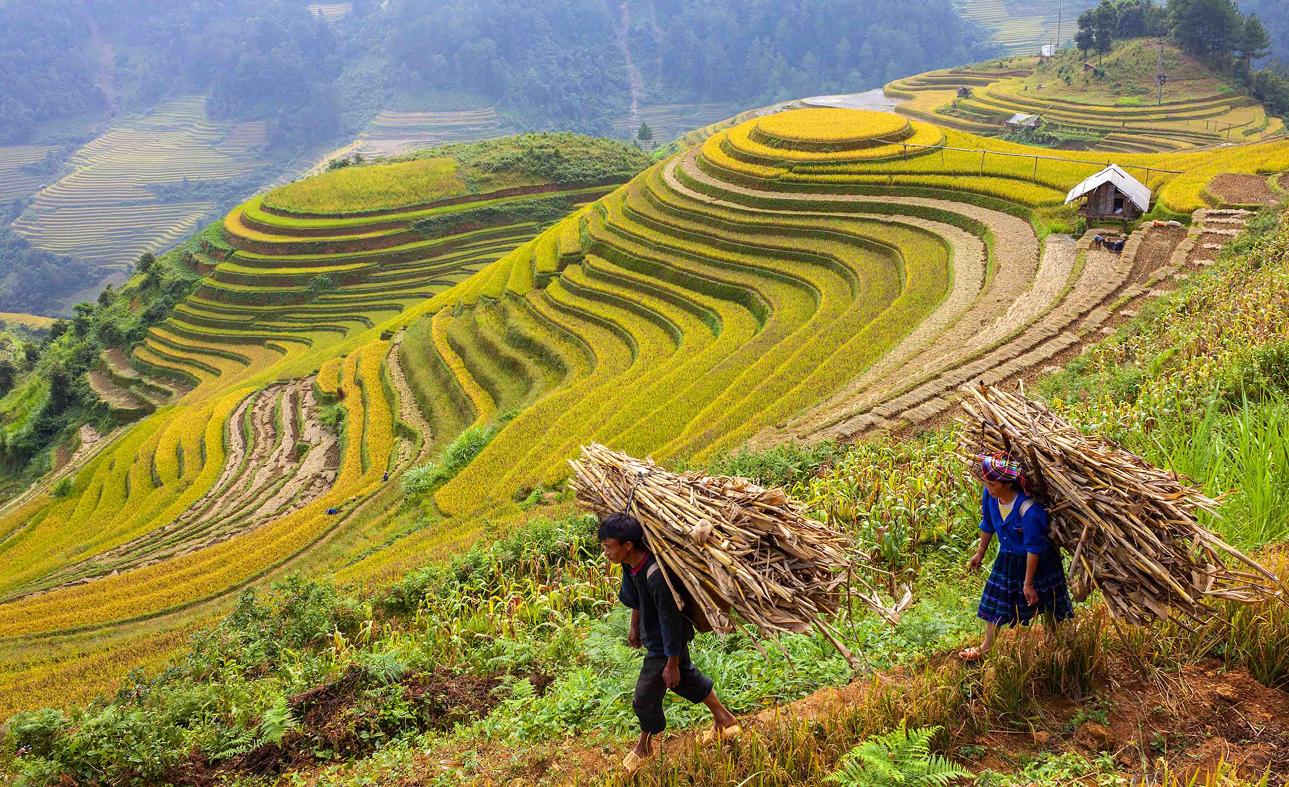 Hạnh phúc ngày mùa