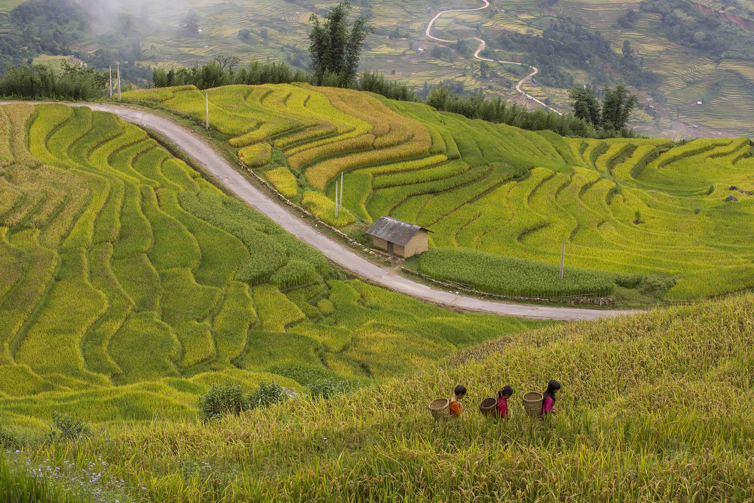 Hạnh phúc ngày mùa