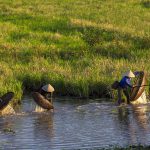 Hạnh phúc ngày mùa
