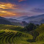 Hạnh phúc ngày mùa