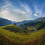 Hạnh phúc ngày mùa