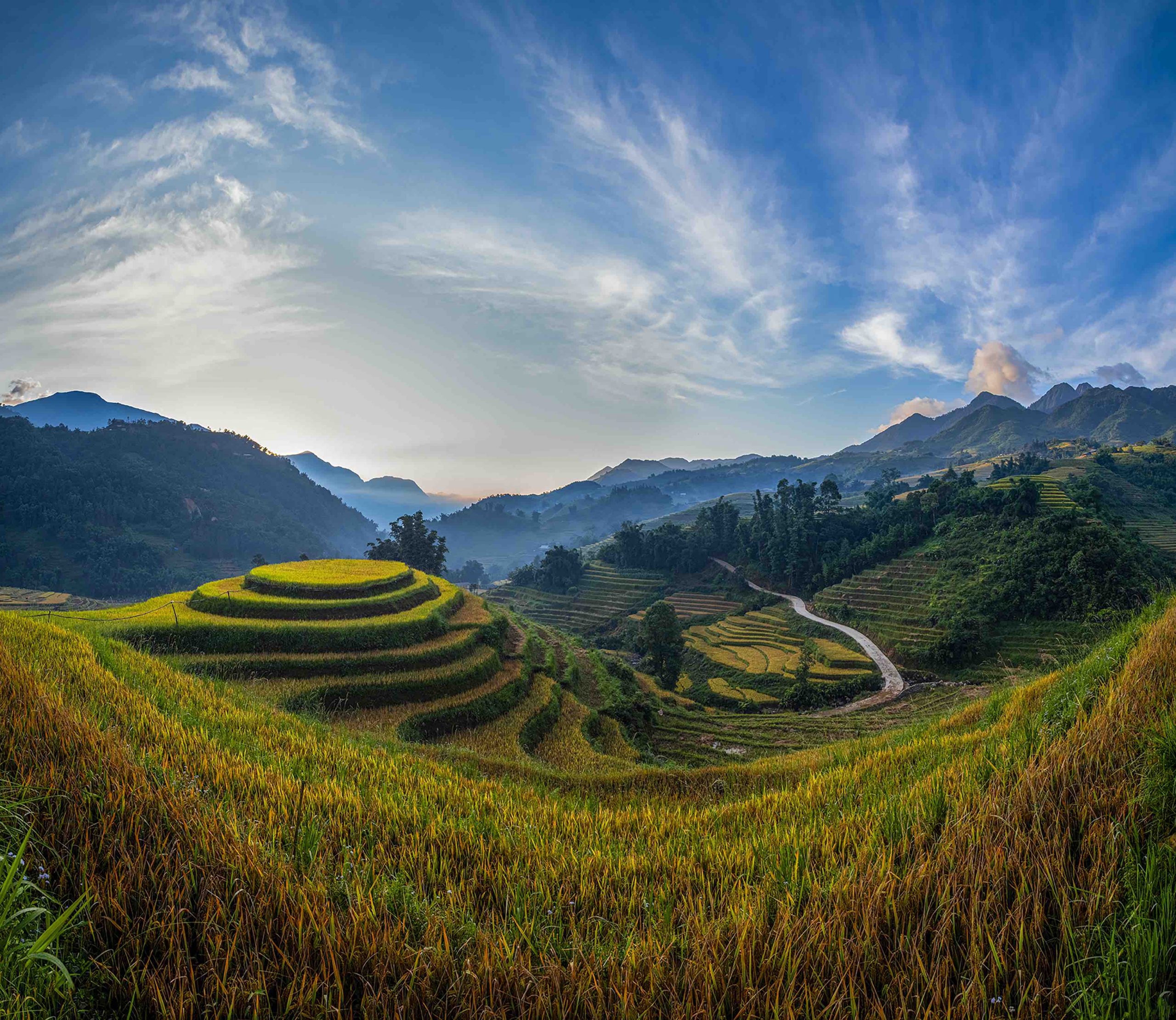 Hạnh phúc ngày mùa