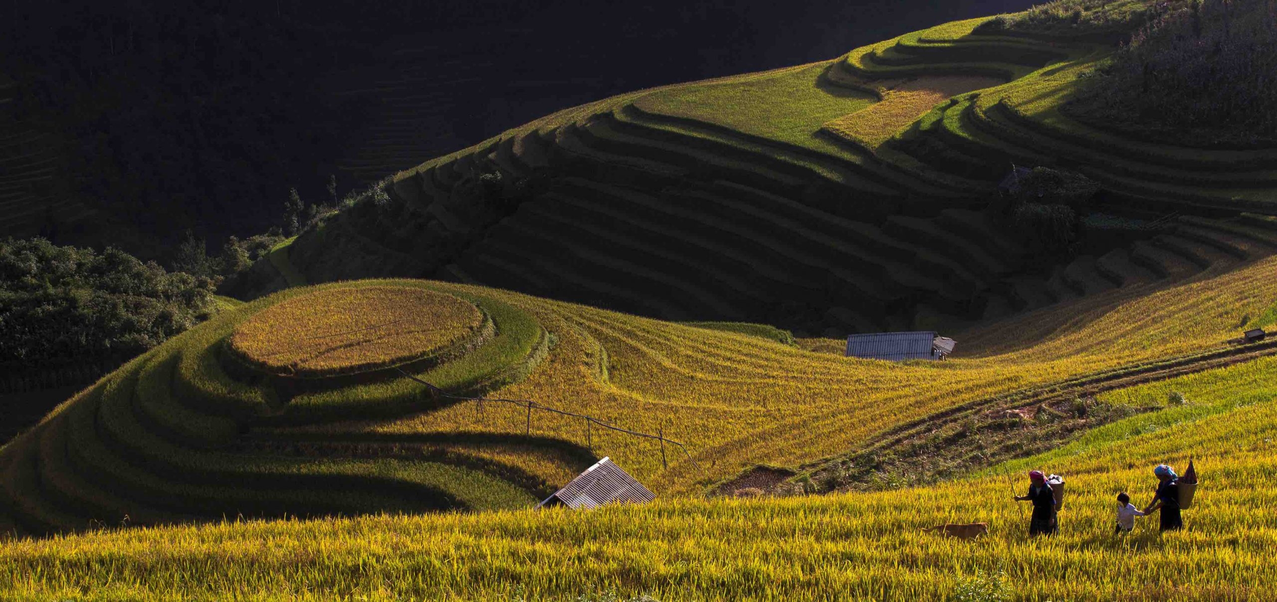 Hạnh phúc ngày mùa
