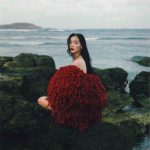 Treasures of the sea