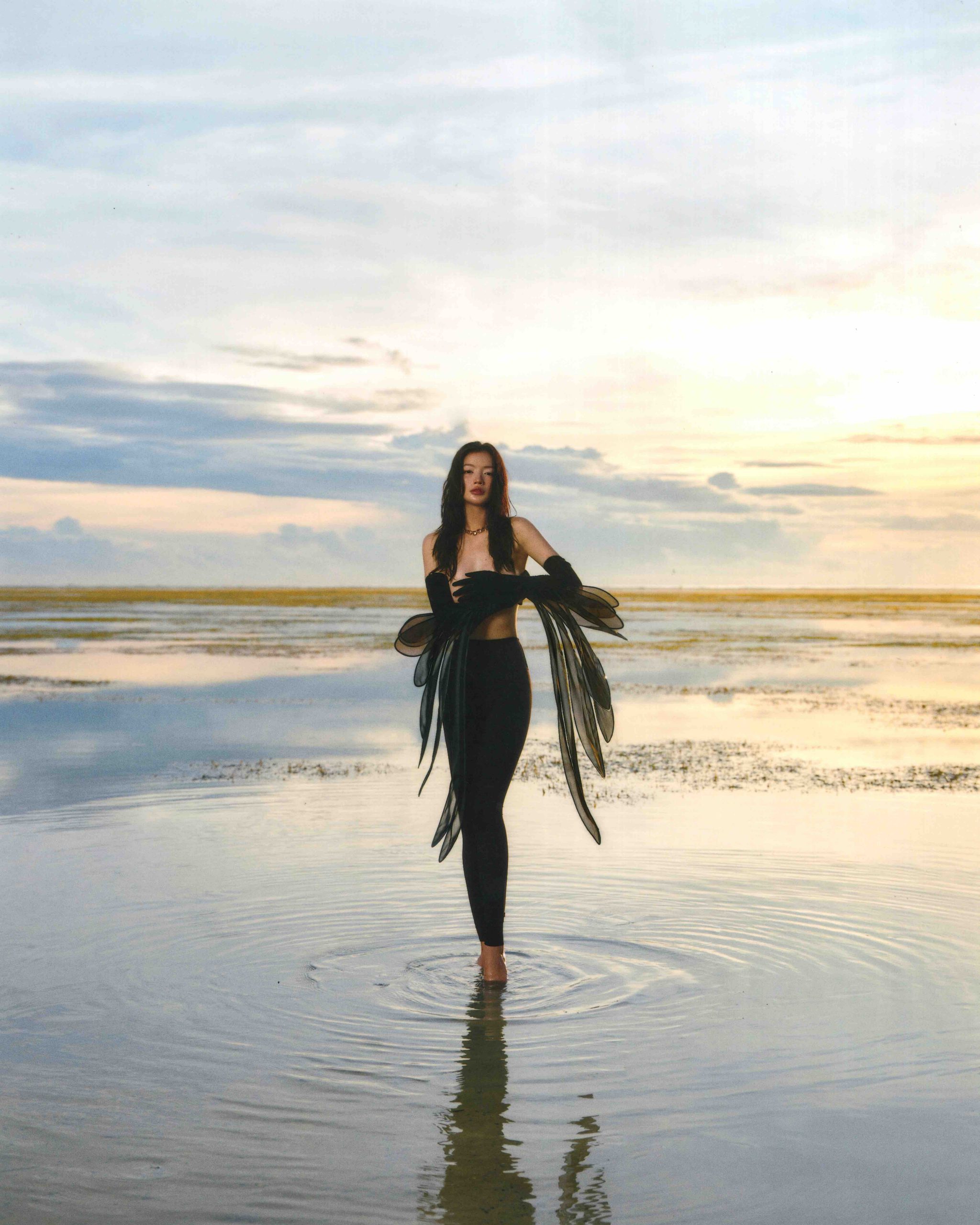 Treasures of the sea