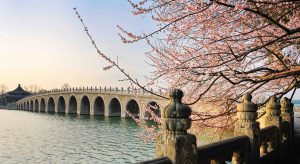 Sâu lắng mùa xuân Yên Kinh