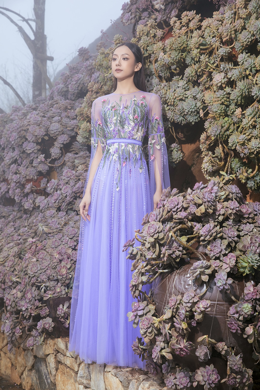 Ánh sáng và sương mù