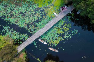 Làng nổi giữa rừng tràm