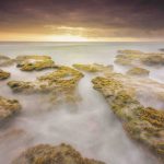 Sớm mai trên biển