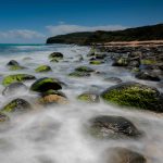 Sớm mai trên biển