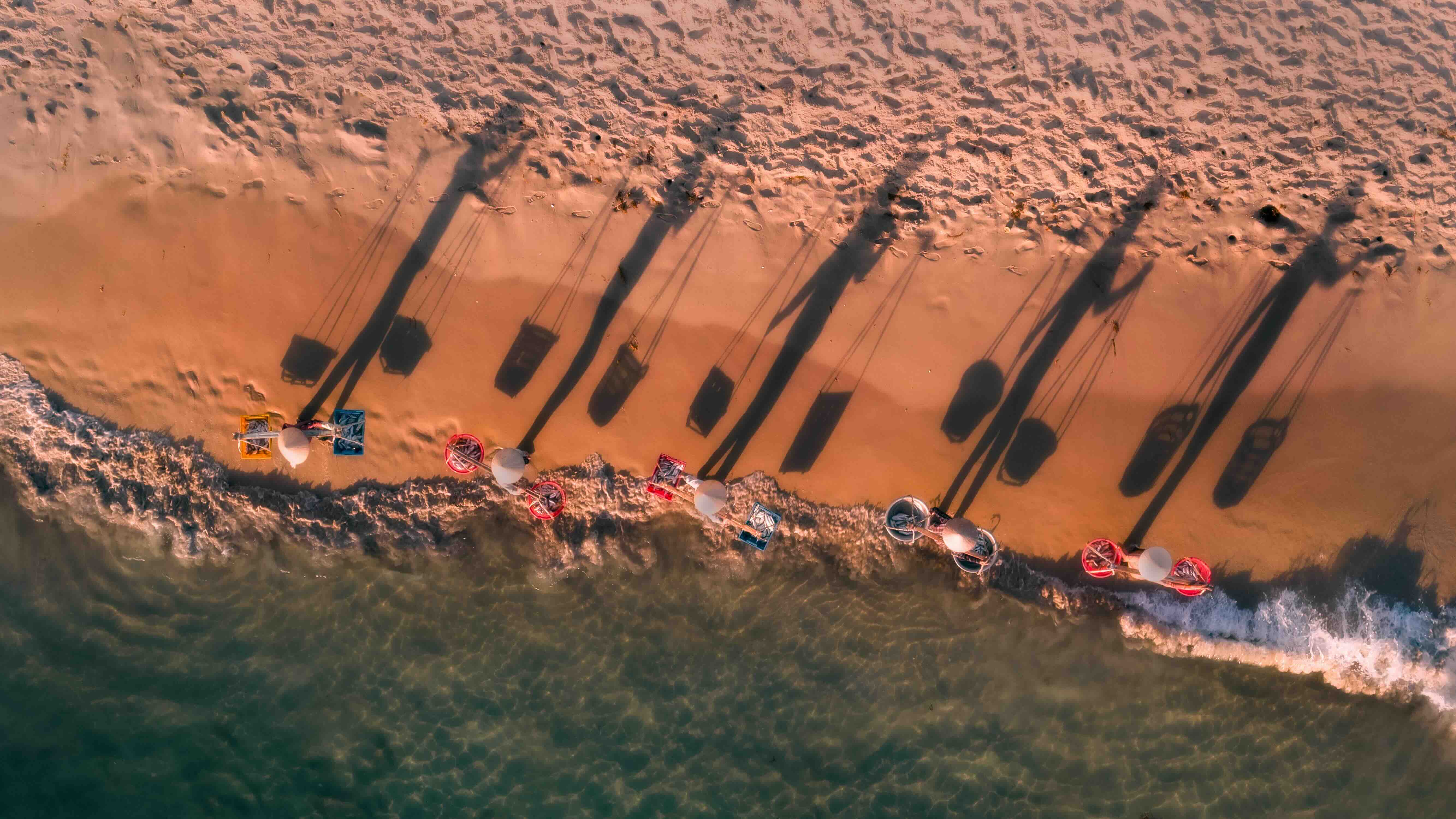 Sớm mai trên biển