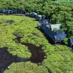 Về Trà Lộc phá trằm