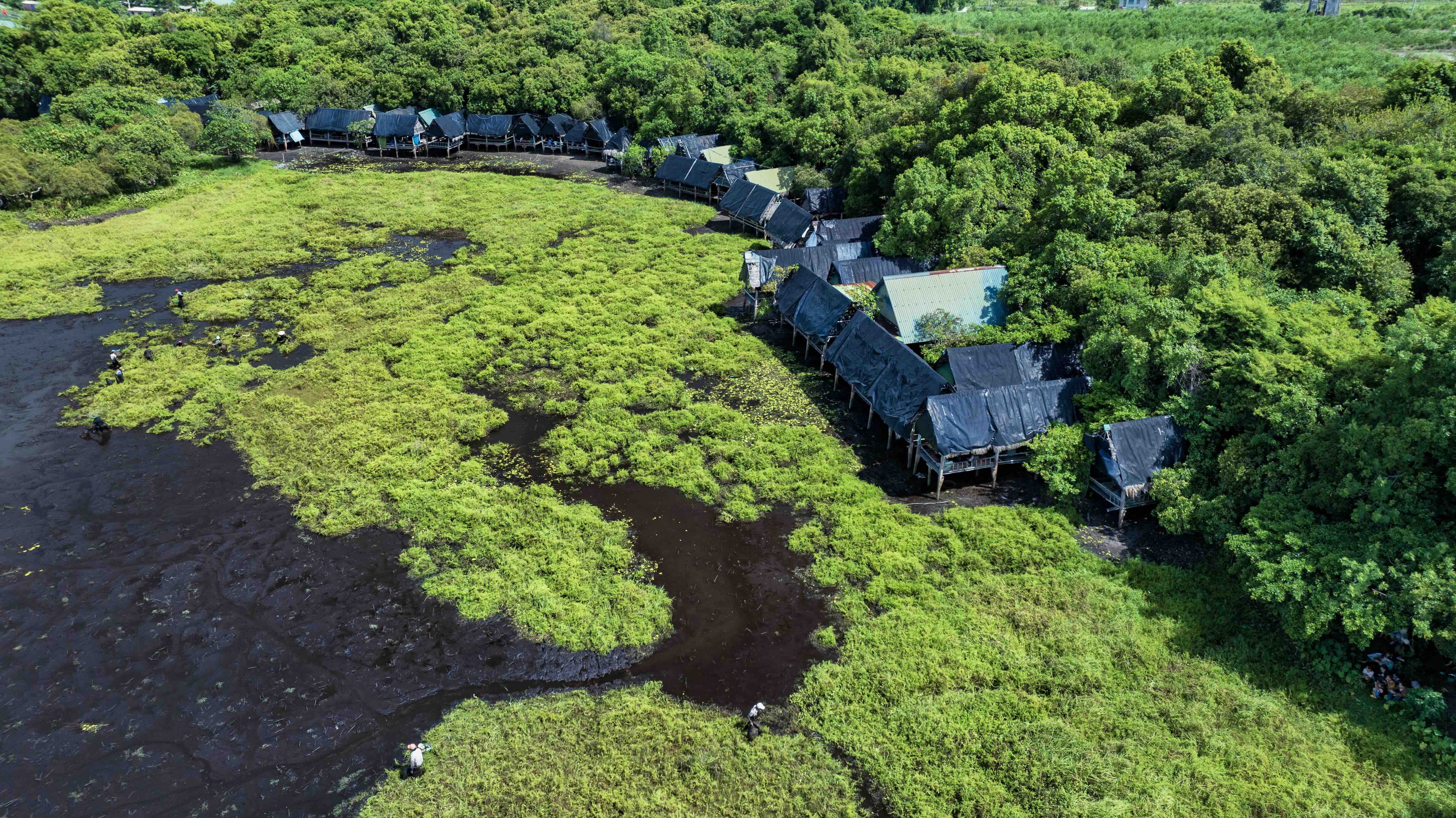 Về Trà Lộc phá trằm