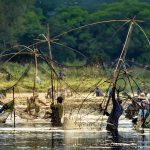 Về Trà Lộc phá trằm