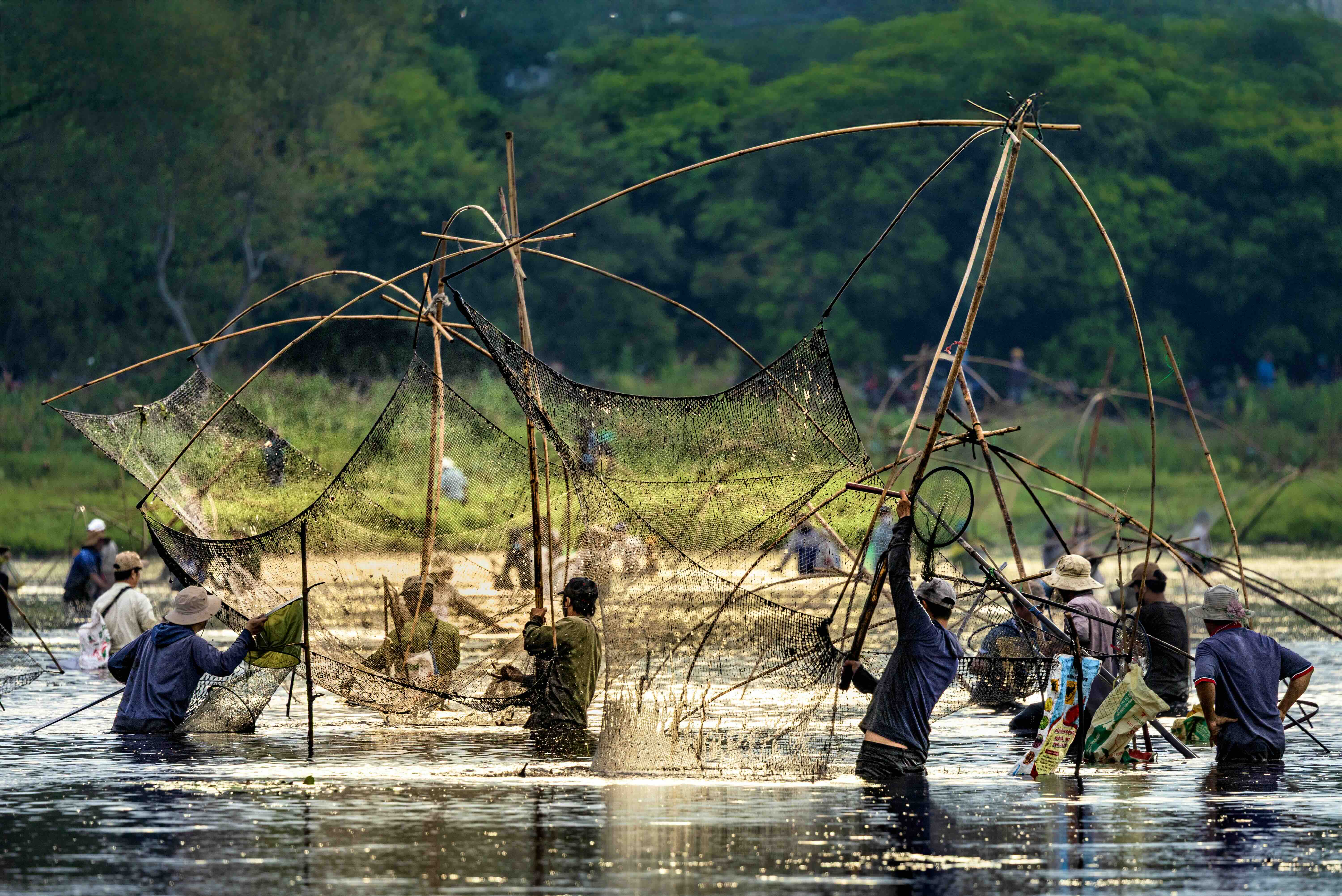 Về Trà Lộc phá trằm