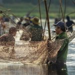 The Pha Tram Festival