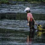 The Pha Tram Festival