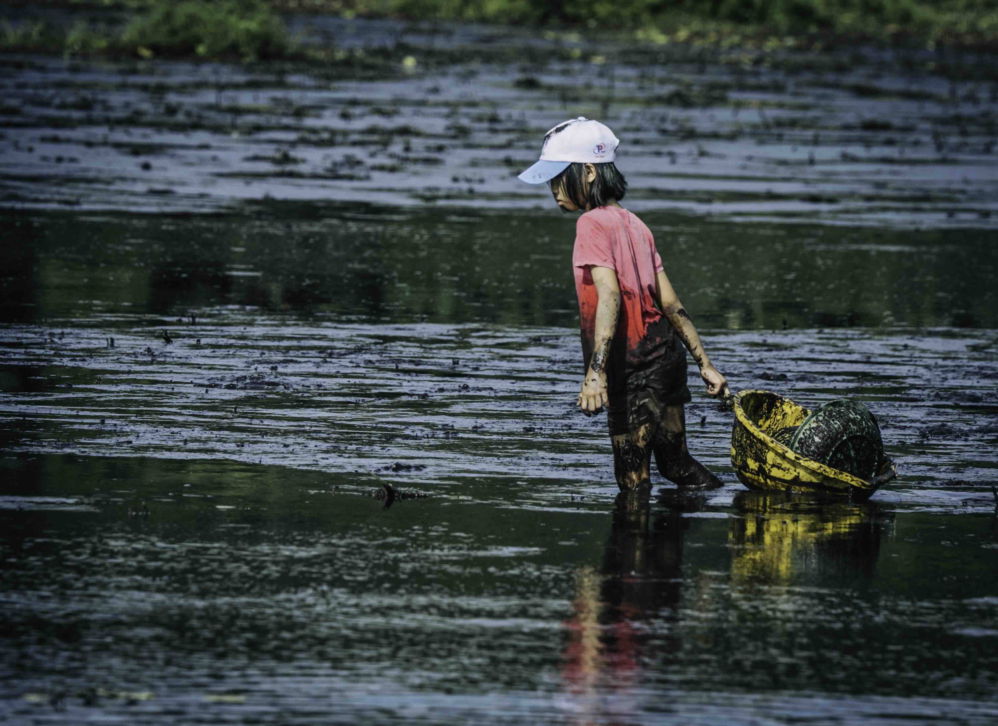 The Pha Tram Festival