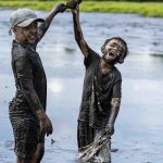 Về Trà Lộc phá trằm