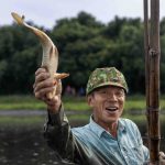 Về Trà Lộc phá trằm