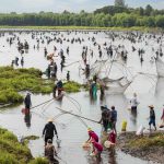 The Pha Tram Festival